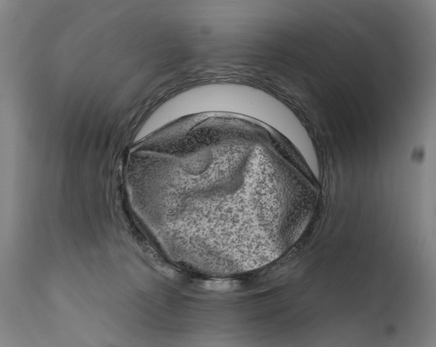 X0000111580225200908061333