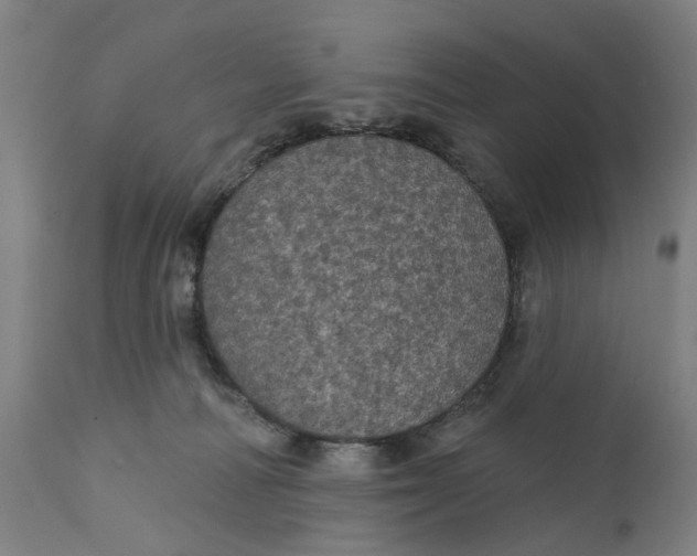 X0000111580226200908061333