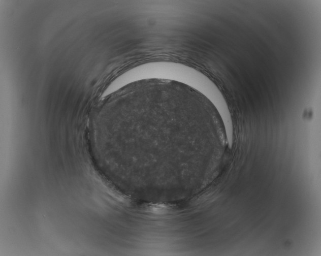 X0000111580229200908061333