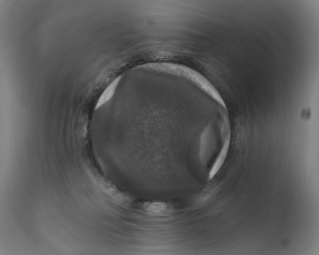 X0000111580230200908061333