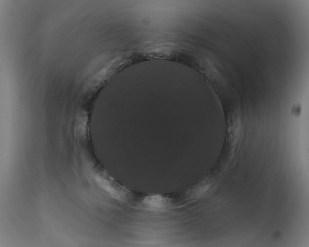 X0000111580231200908061333