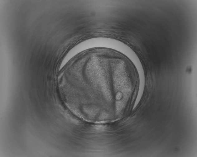 X0000111580233200908061333