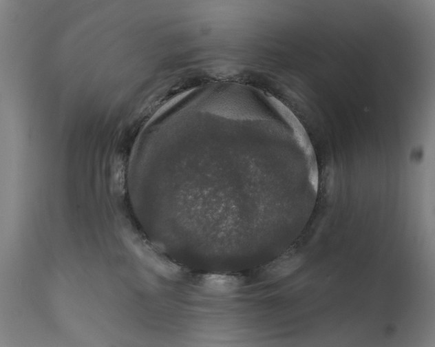 X0000111580234200908061333