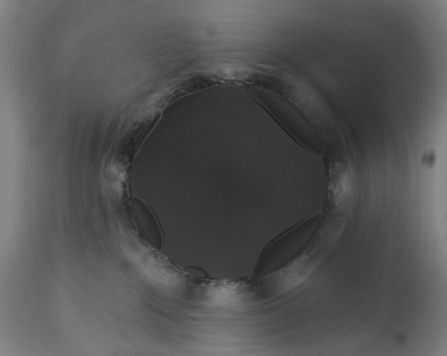 X0000111580235200908061333