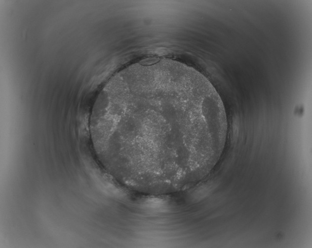 X0000111580236200908061333