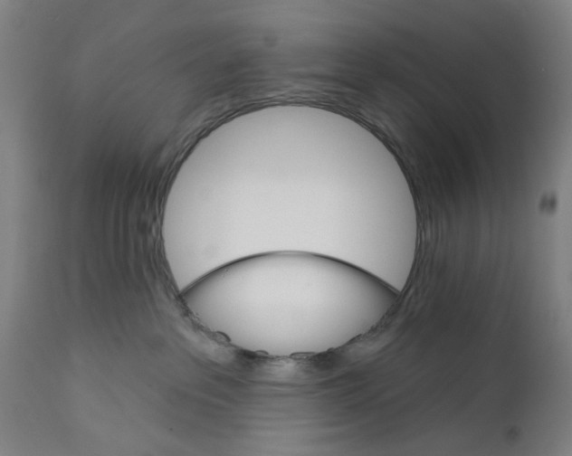 X0000111580237200908061333