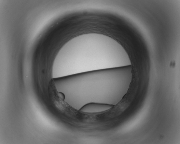 X0000111580239200908061333