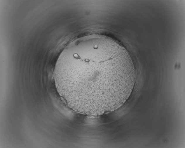 X0000111580240200908061333