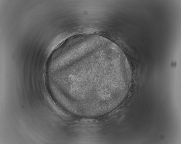 X0000111580242200908061332