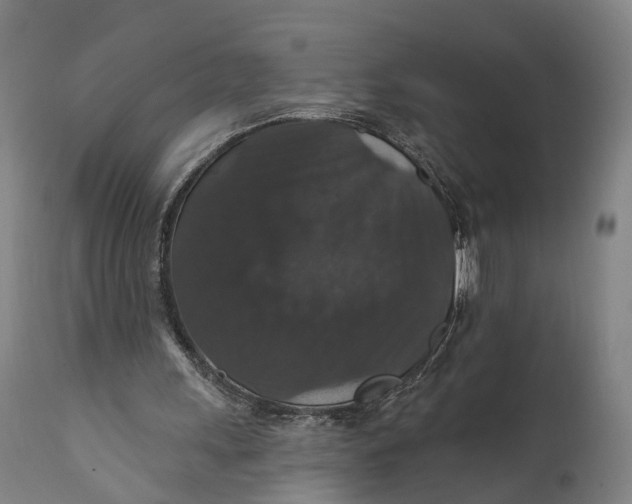 X0000111580243200908061332