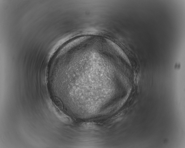 X0000111580244200908061332