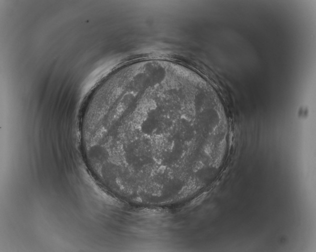 X0000111580245200908061332