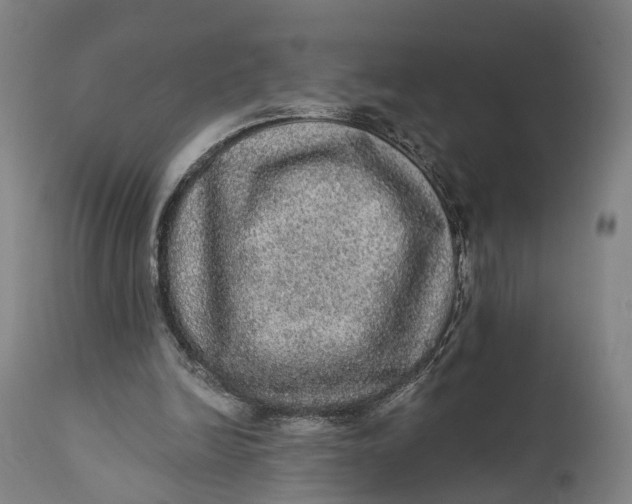 X0000111580246200908061332