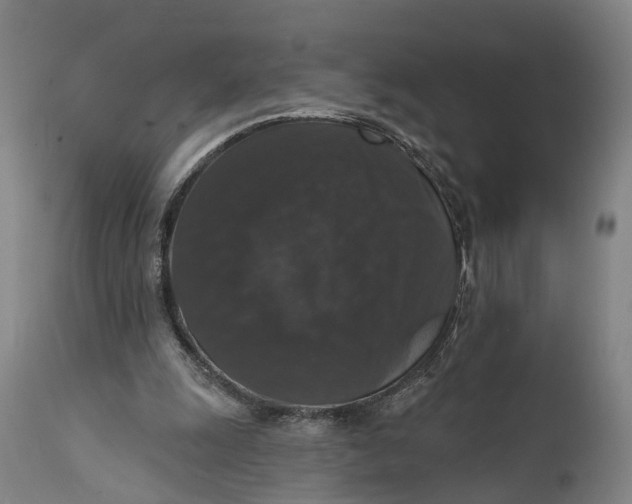 X0000111580247200908061332