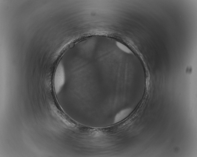 X0000111580249200908061332