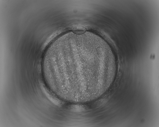 X0000111580250200908061332