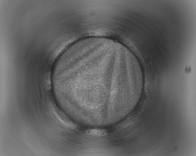 X0000111580251200908061332