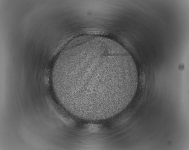 X0000111580255200908061332