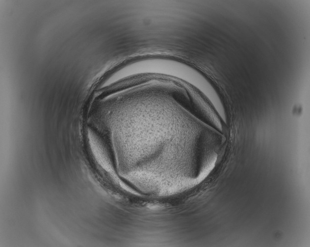 X0000111580256200908061332