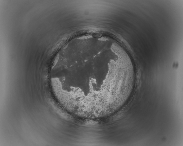 X0000111580257200908061332