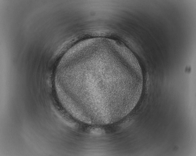 X0000111580258200908061332