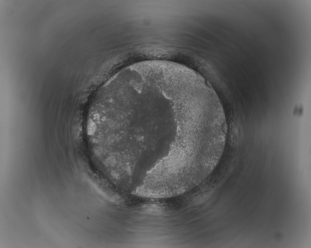 X0000111580259200908061332