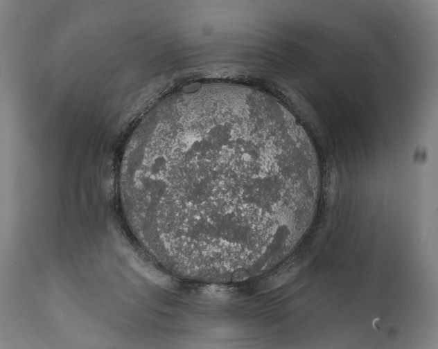 X0000111580261200908061332