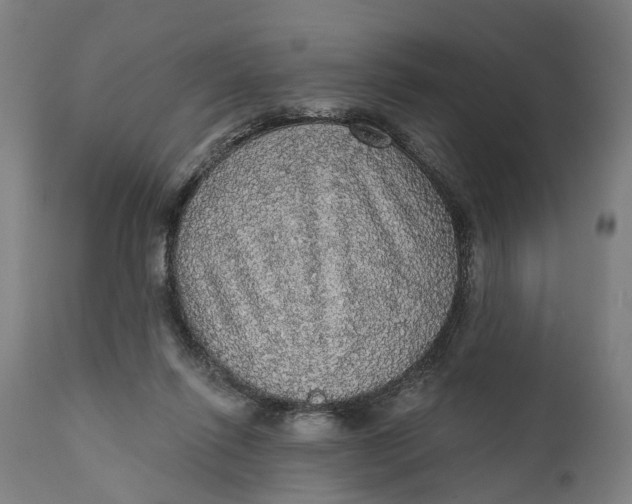 X0000111580262200908061332