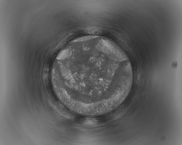 X0000111580263200908061332