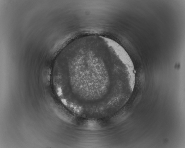 X0000111580264200908061332