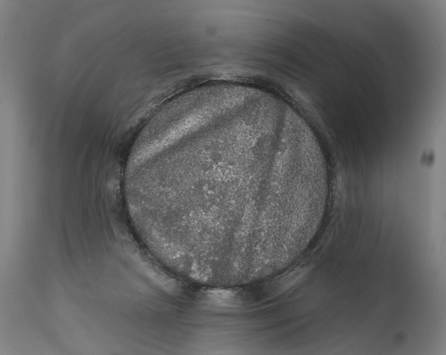 X0000111580265200908061332