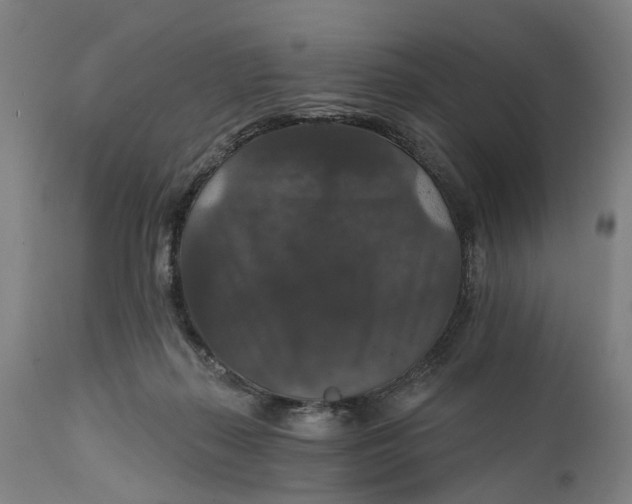 X0000111580267200908061332