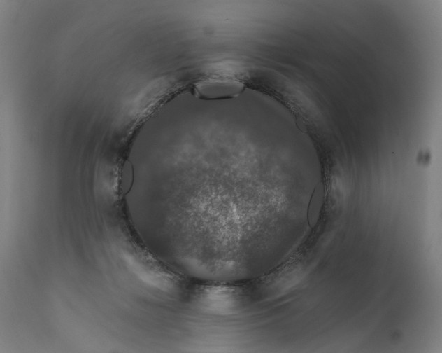 X0000111580268200908061332