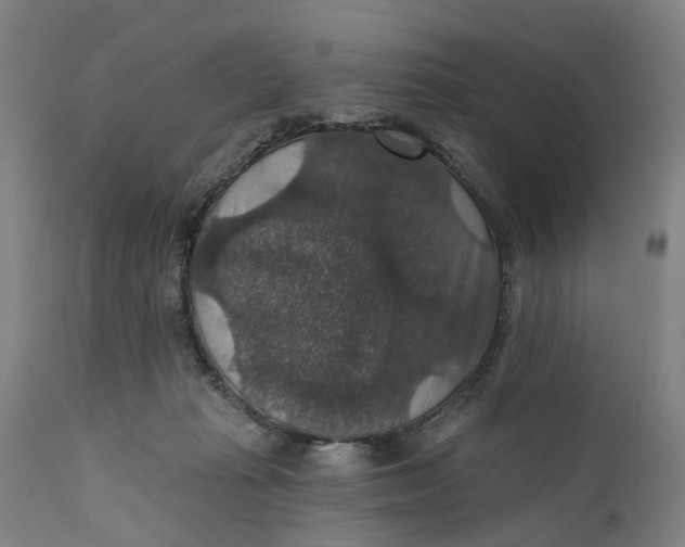 X0000111580269200908061332