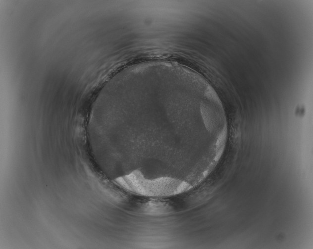 X0000111580270200908061332