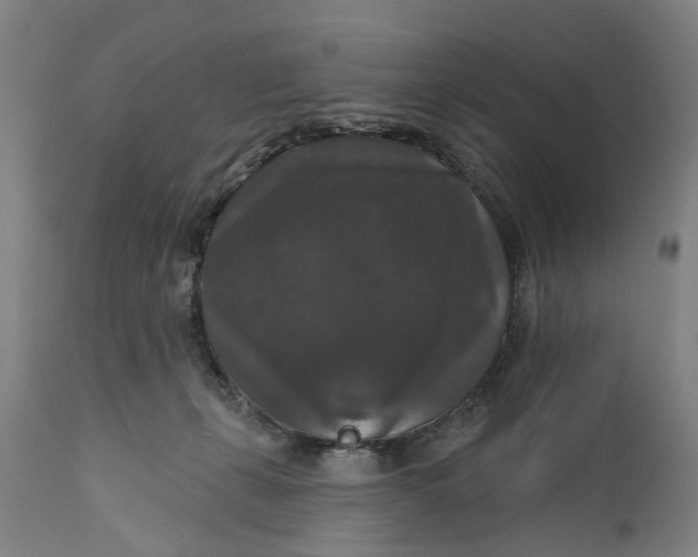 X0000111580271200908061332