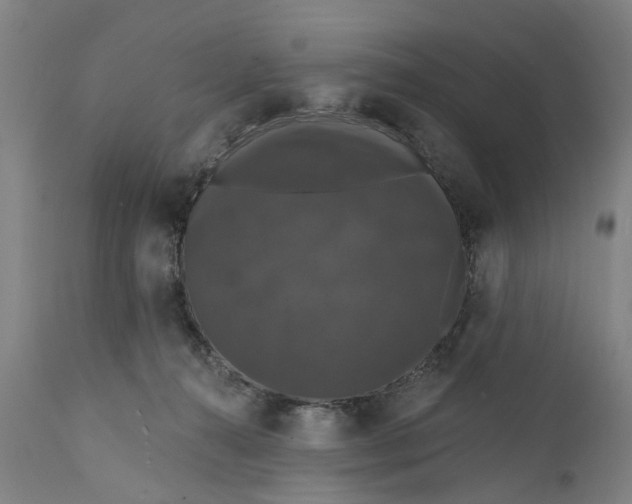 X0000111580272200908061332