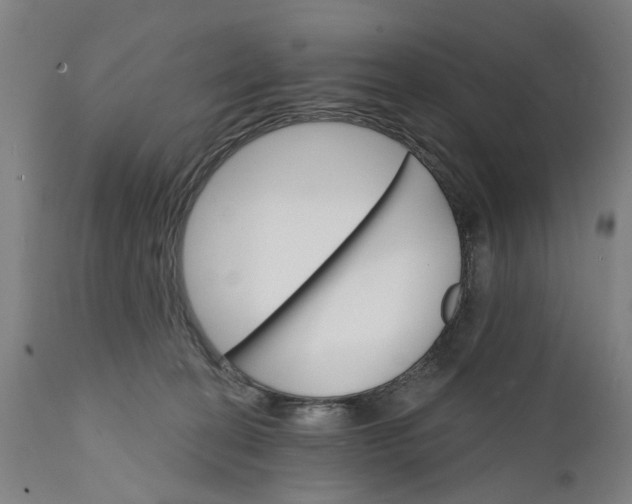 X0000111580274200908061332