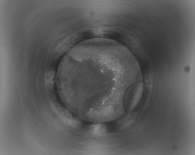 X0000111580275200908061332