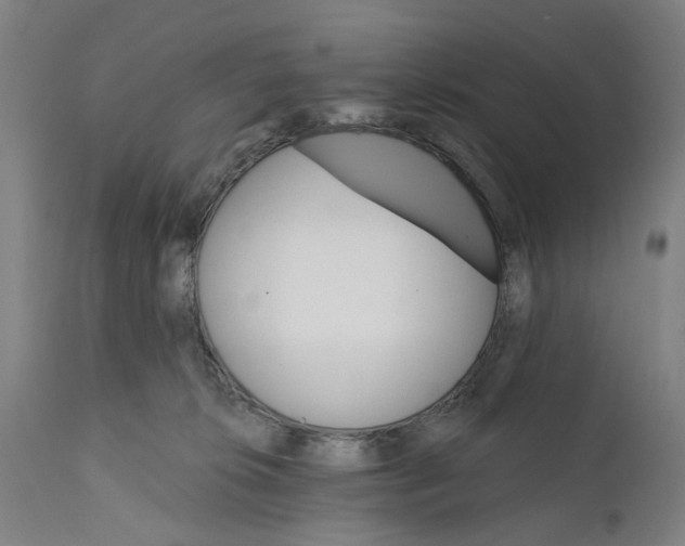 X0000111580276200908061332