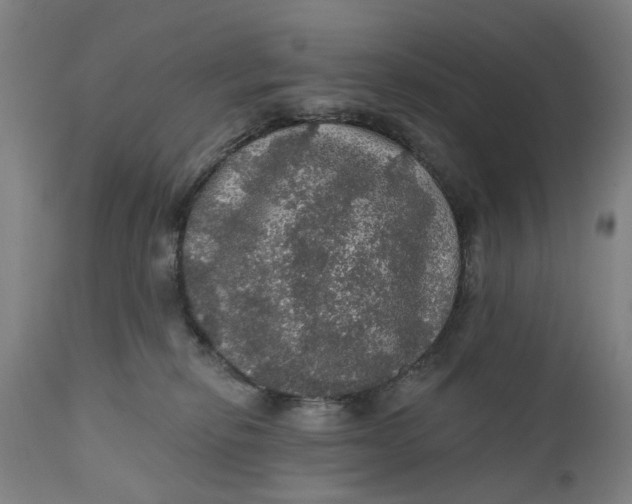 X0000111580278200908061332