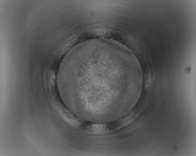 X0000111580279200908061332