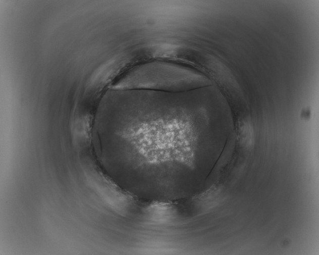 X0000111580280200908061332