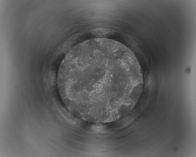 X0000111580283200908061332