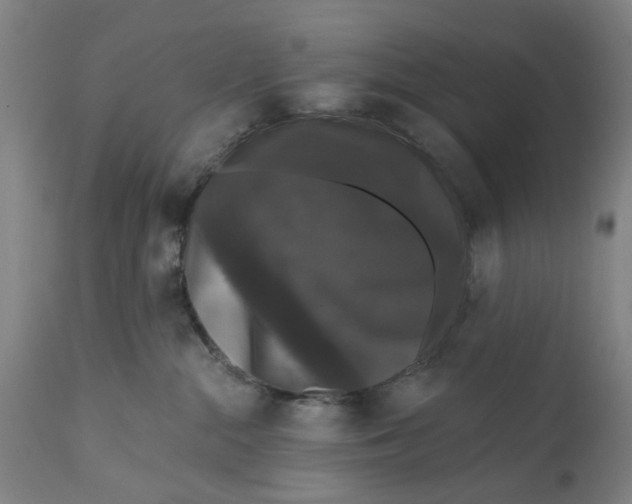 X0000111580284200908061332