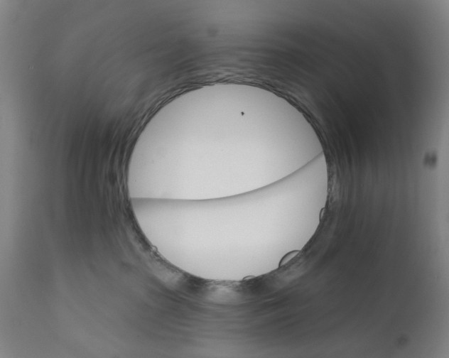 X0000111580285200908061332