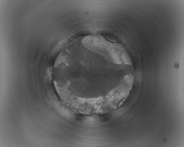 X0000111580286200908061332