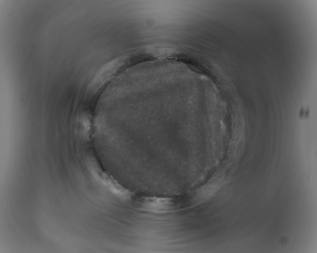 X0000111580288200908061333