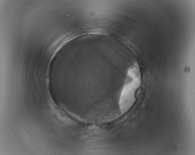 X0000111580290200908061332