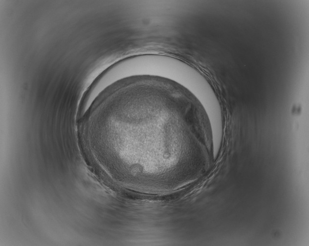 X0000111580292200908061332